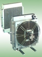 Ls